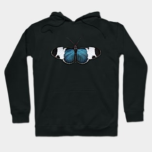 Butterfly Hoodie